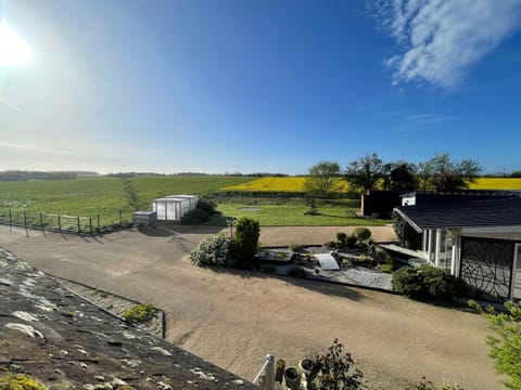 Natural landscape, Garden, Garden view