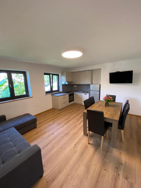 Communal lounge/ TV room, TV and multimedia, Kitchen or kitchenette, Living room, Seating area, Dining area