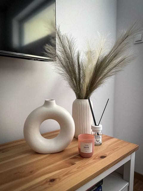 Polar Bear Apartment Apartment in Lithuania