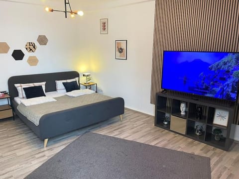 Bed, TV and multimedia, Living room, Photo of the whole room, Seating area, Bedroom