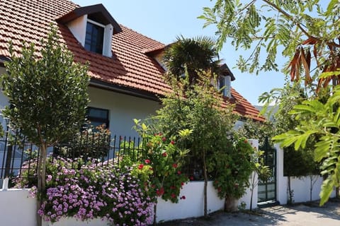 Property building, Garden, Garden view