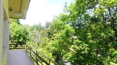 Spring, Day, Natural landscape, Garden, Garden, View (from property/room), Balcony/Terrace, Garden view