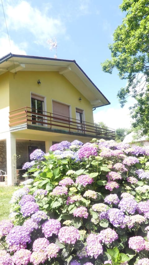 Day, Garden, Garden view