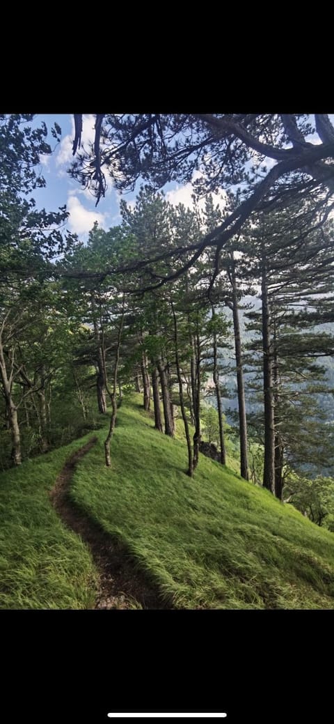 Domacinstvo Paprica Tjentiste House in Montenegro