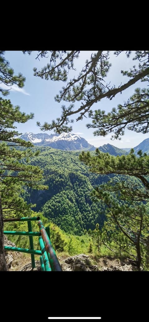 Domacinstvo Paprica Tjentiste House in Montenegro