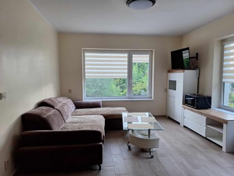 Communal lounge/ TV room, TV and multimedia, Living room