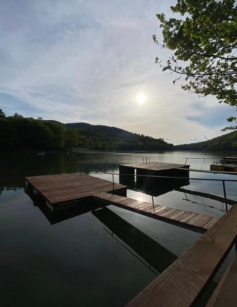 Lake view