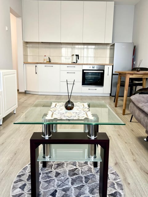 Kitchen or kitchenette, Dining area, oven, stove