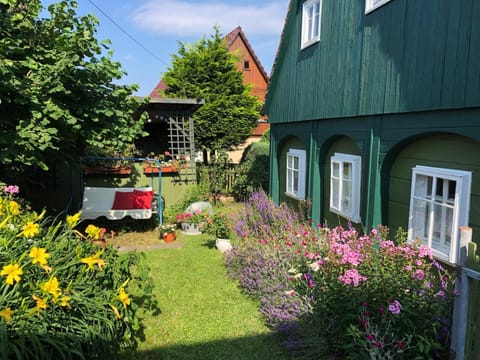 Property building, Garden, Garden view