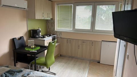 Kitchen or kitchenette, Photo of the whole room, Seating area, Bedroom, minibar, oven, stove, air conditioner
