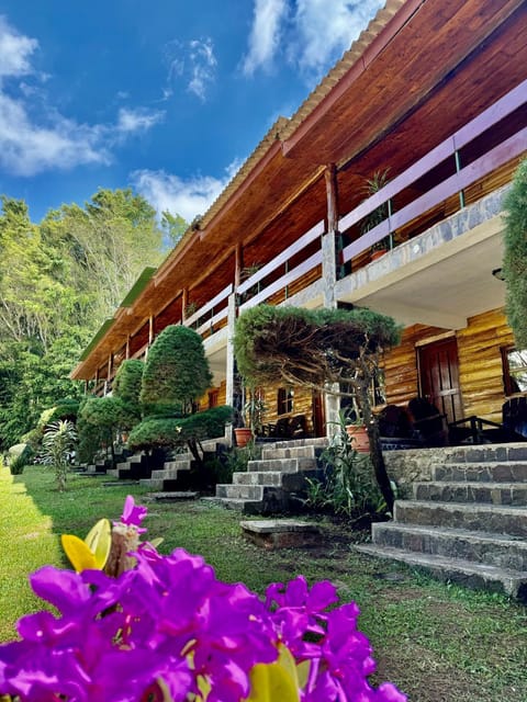 Property building, Garden