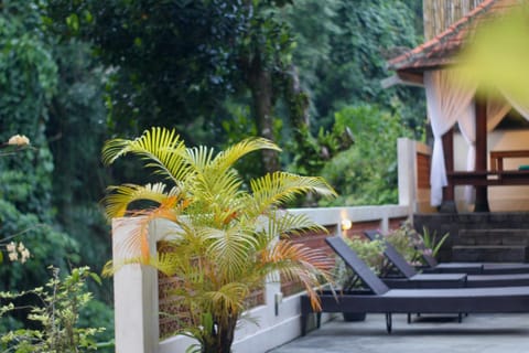 Spring, Day, Garden, Garden view, River view