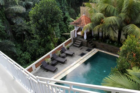 Garden, Pool view, Swimming pool