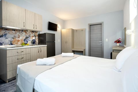 Δωματιο σε πετρινο σπιτι Apartment in Thasos