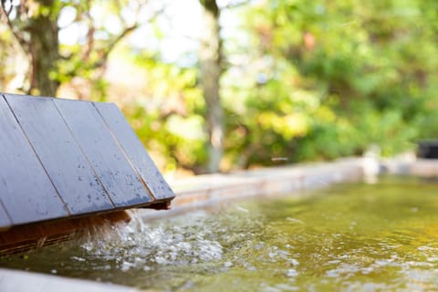 Natural landscape, Hot Spring Bath, Hot Spring Bath, Open Air Bath, Open Air Bath