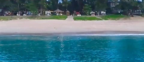 Micky Monkey Beach Hotel Phuket Maikhao Thailand House in Mai Khao