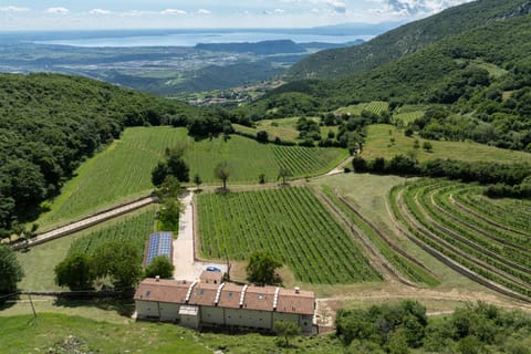 Spring, Natural landscape