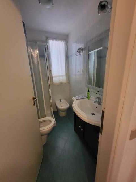 Shower, Toilet, Bathroom, bidet