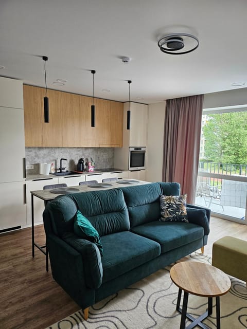 Kitchen or kitchenette, Living room, Seating area, Dining area, stove