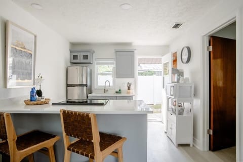 Walk Everywhere! 1-Bedroom Gem in Downtown Hub Apartment in New Port Richey