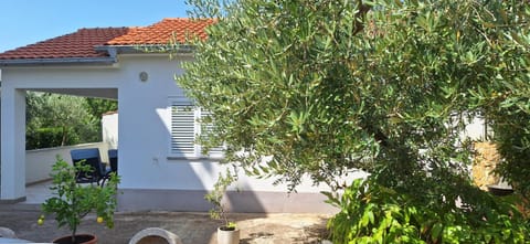 Property building, Day, Garden