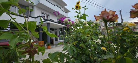 Property building, Day