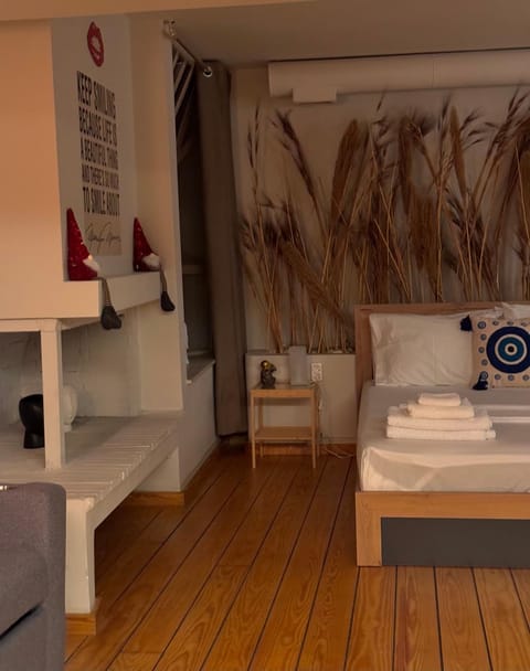 Plastiko Loft Apartment in Athens