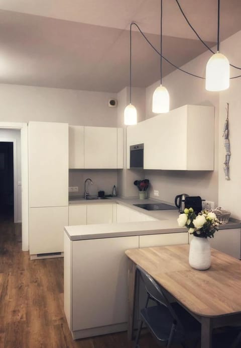 Kitchen or kitchenette, dishwasher, stove