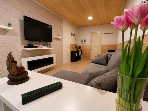 Communal lounge/ TV room, Living room