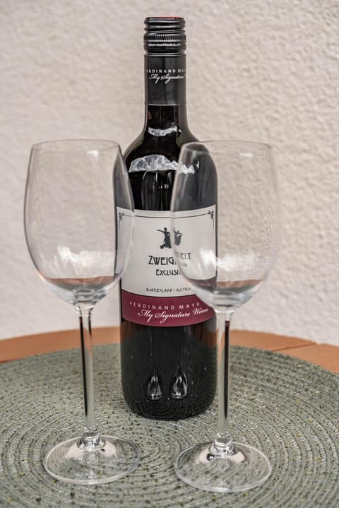 Landhaus Ifangl Apartment in Mayrhofen