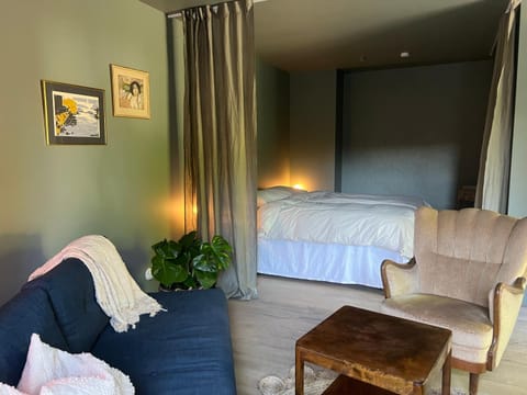 Bed, Living room, Photo of the whole room