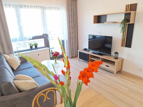 Loft 19 Apartament - w cenie prywatne miejsce postojowe lub garaż Apartment in Szczecin