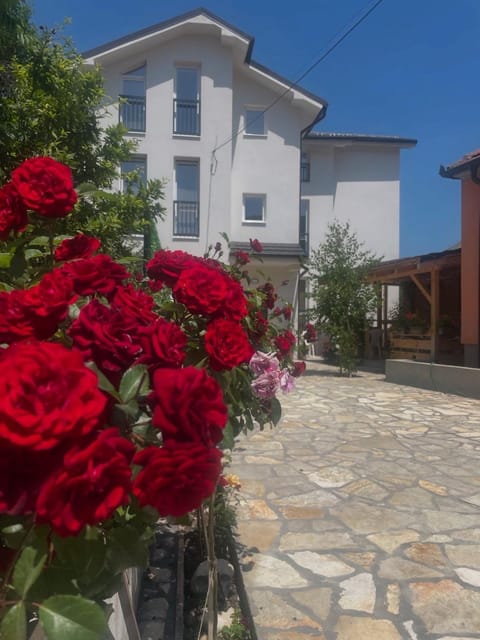 Vas Dom Apartment in Serbia