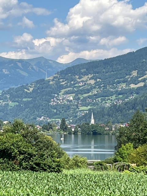 Landhaus Steinwender Wohnung Canaletto Apartment in Carinthia, Austria