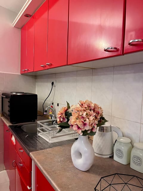 Apartment Sofija Apartment in Kotor