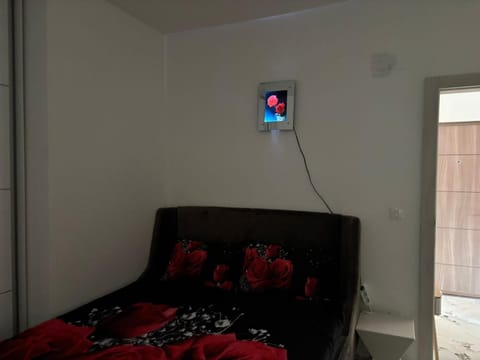 Red room Apartment in Serbia