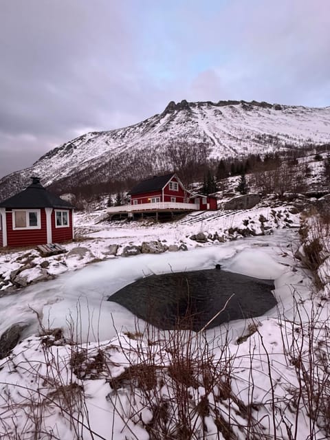 Cozy house by the sea House in Nordland, Norway