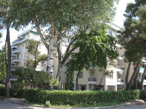 Property building, Facade/entrance, Neighbourhood, Garden