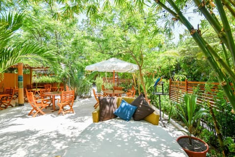 Day, Natural landscape, Garden, Garden view