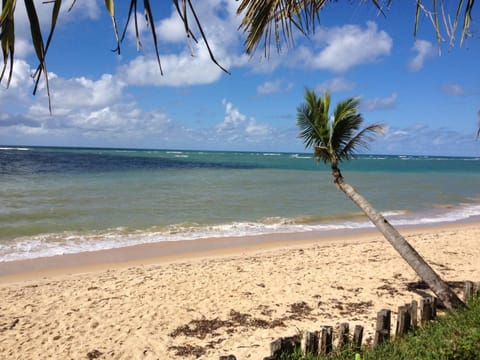 Day, Beach