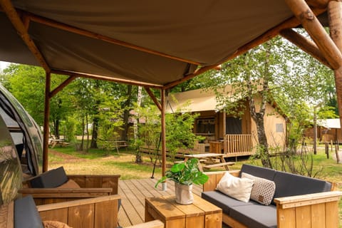 Patio, Day, Garden, Living room, Garden view