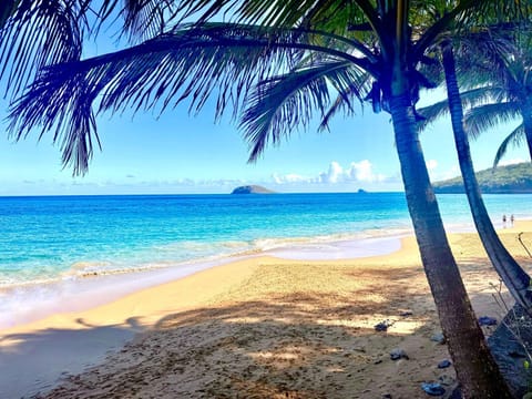 Day, Natural landscape, Beach, Sea view