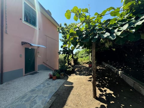 Property building, Spring, Day, Summer, Garden, Garden view