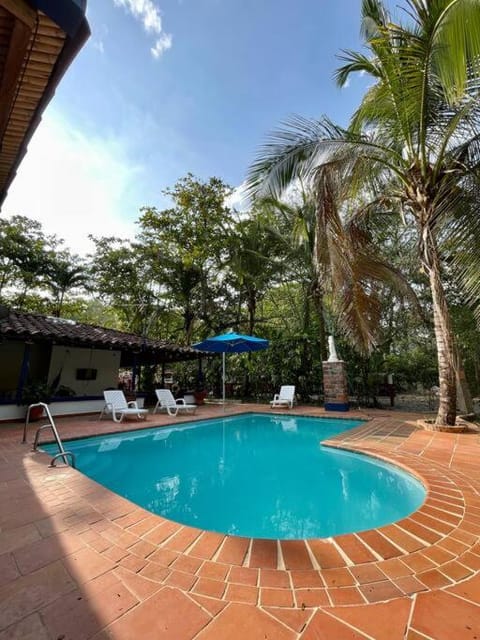 Patio, Day, Swimming pool, sunbed