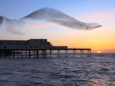 Morawel Bed and Breakfast in Aberystwyth