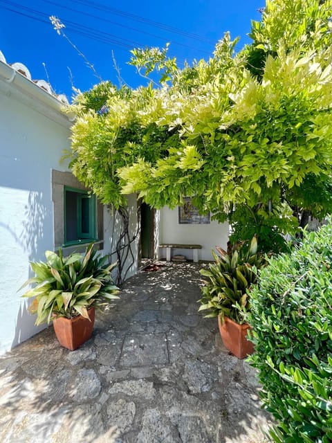 Property building, Facade/entrance, Garden, Garden view