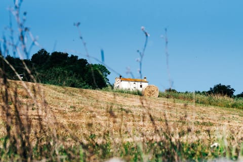 Property building, Natural landscape