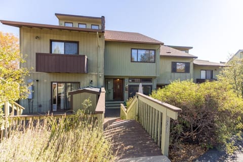 Above the Green House in Groveland