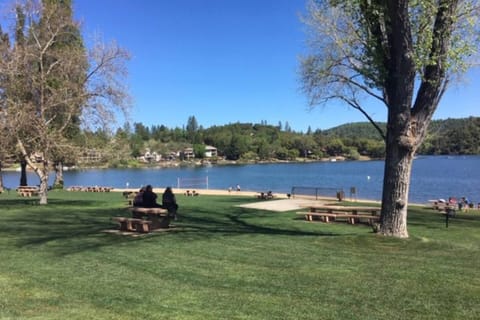Above the Green House in Groveland
