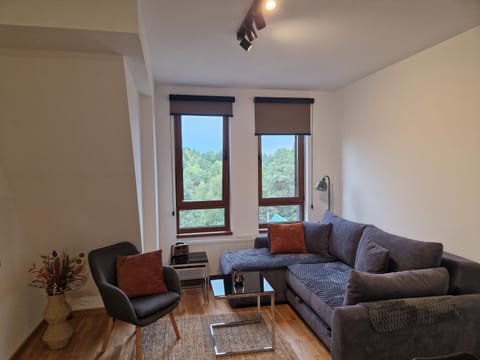 Divcinova - Apartman Gorski Apartment in Zlatibor District, Serbia